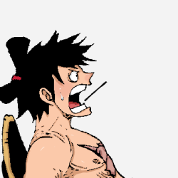 One Piece Manga 916 Tumblr