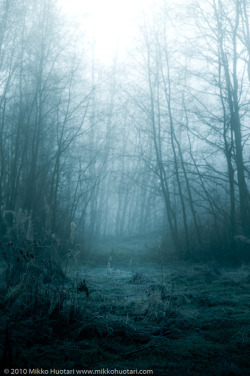 forestmist:   	Untitled by Mikko Henrik Huotari