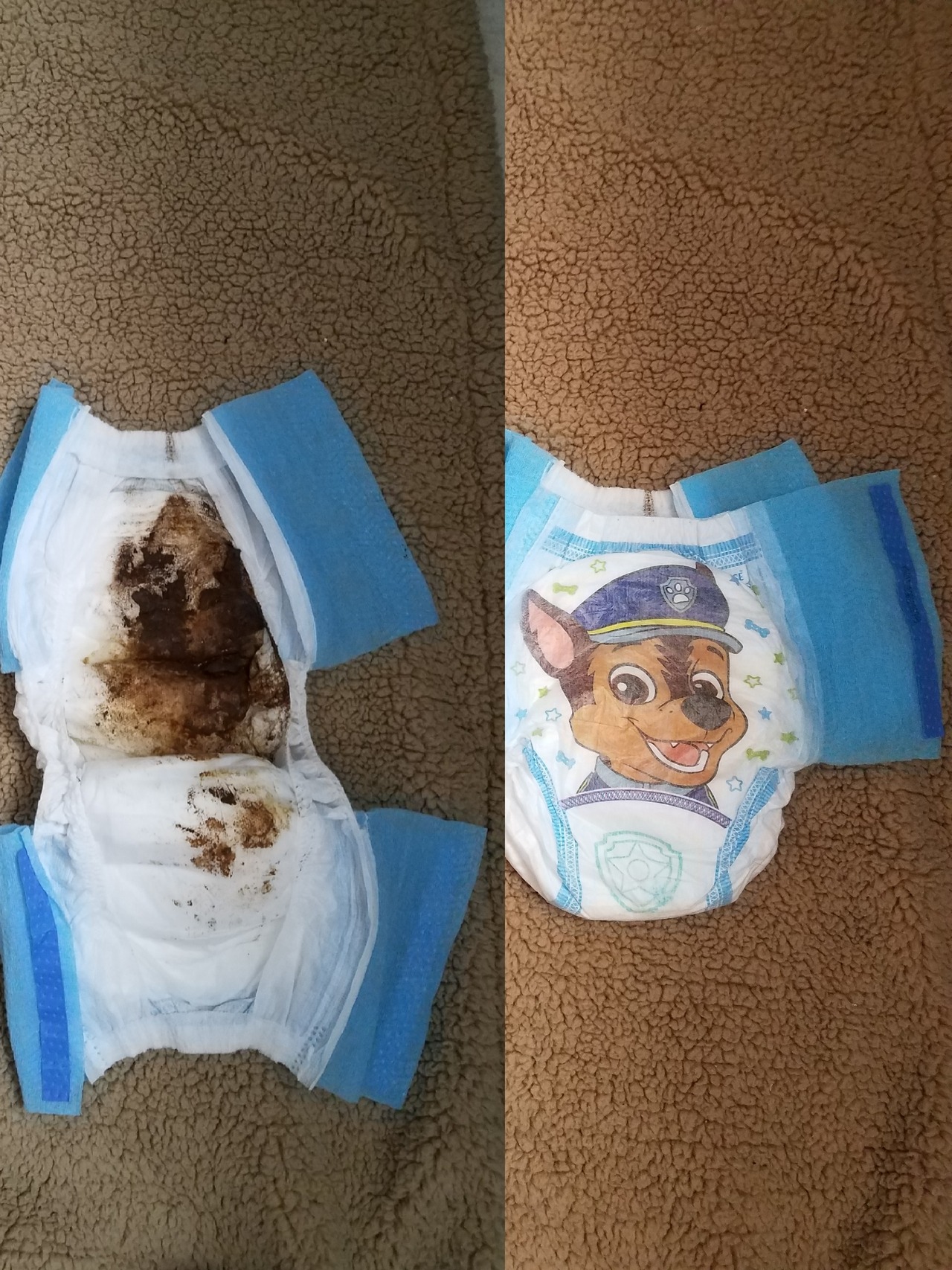 Paw Patrol Abdl On Tumblr