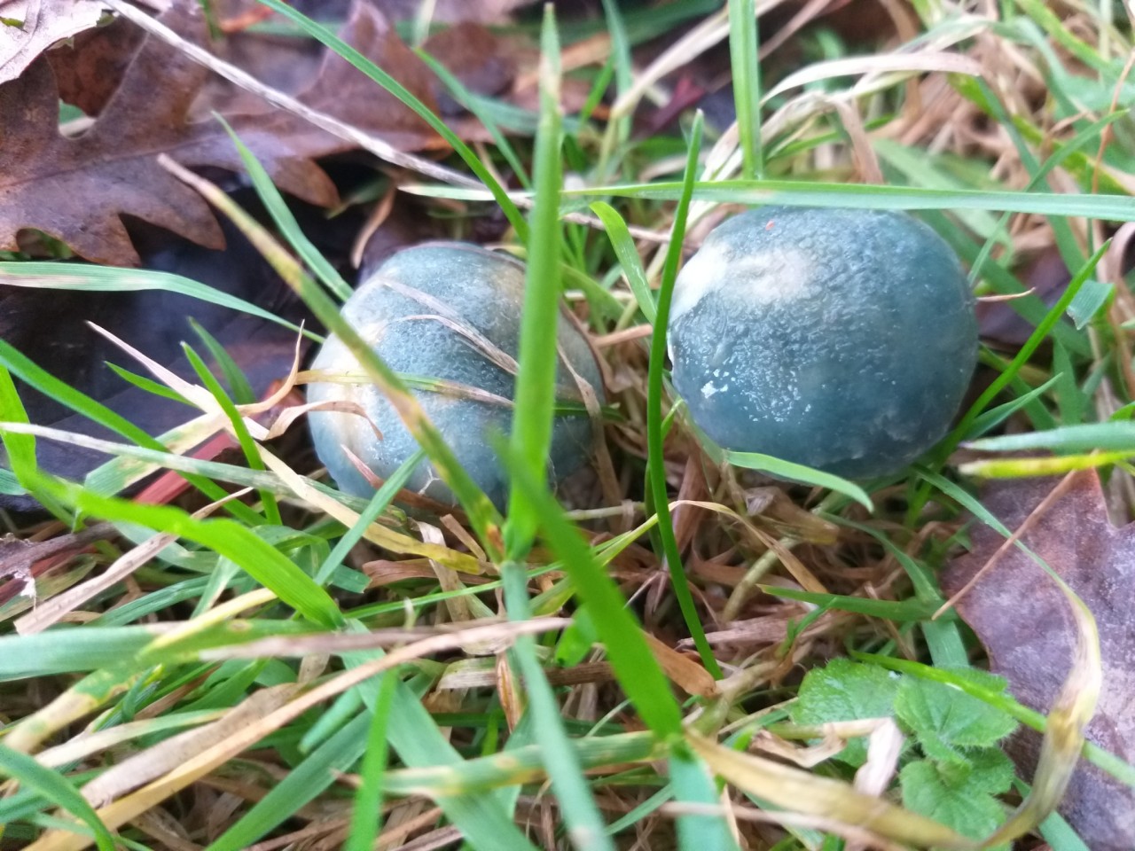 Splashing Soil On Tumblr splashing-soil-on-tumblr