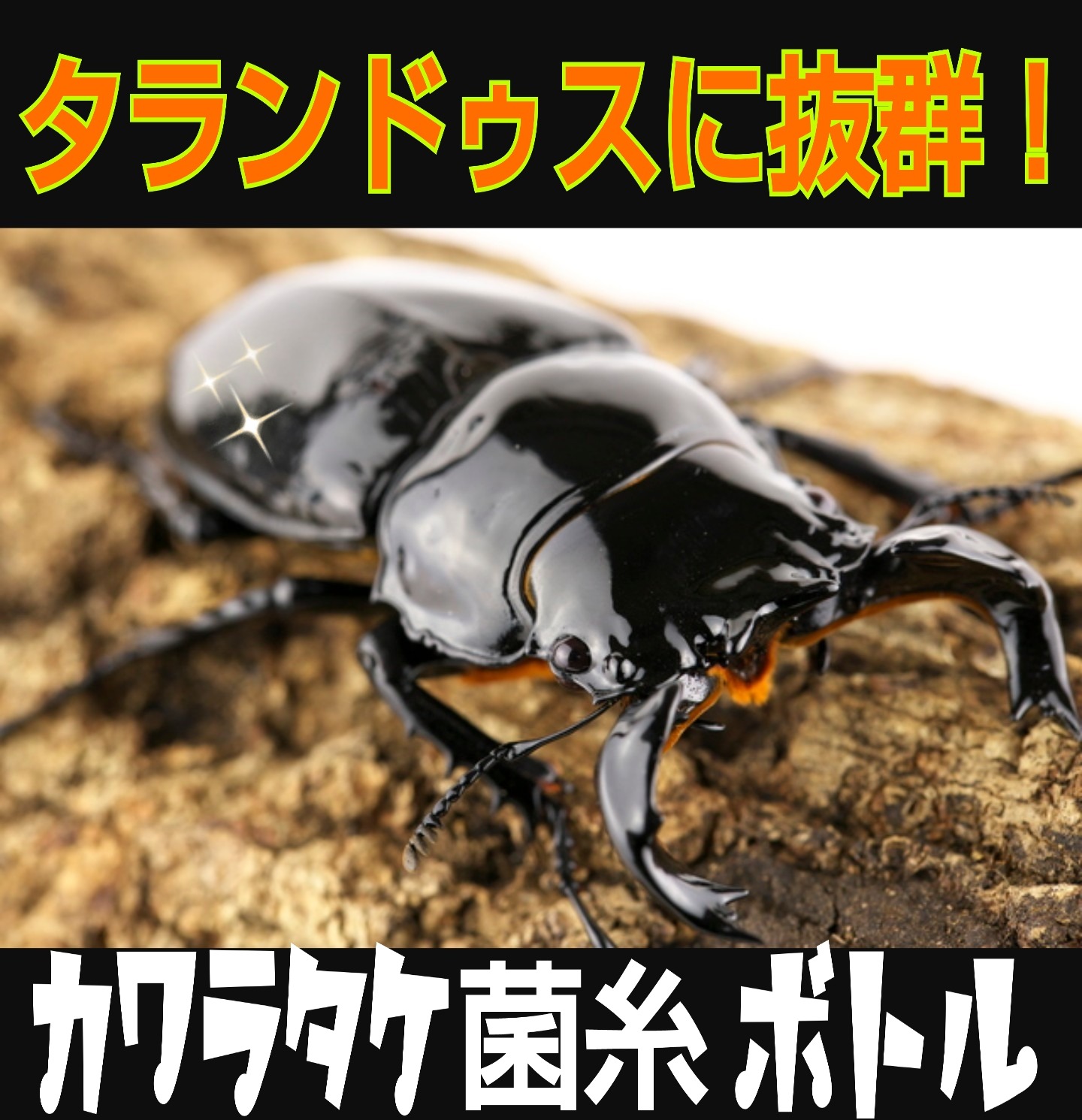 充実の品 極上！カワラタケ菌糸瓶【9本】特大1500ml 特殊アミノ酸強化配合！タランドゥス・オウゴンオニクワガタ・レギュウスに！トレハロース増量  セット