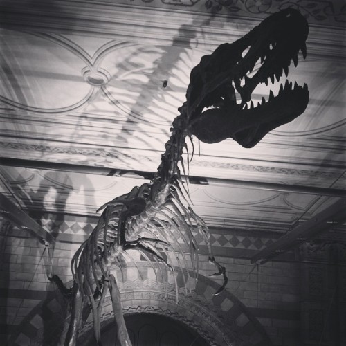 #fossil #dinosaur #NaturalHistoryMuseum #London #roar (at Natural History Museum, London)