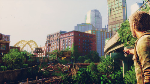 captaincrieff:  The Last of Us & scenery 