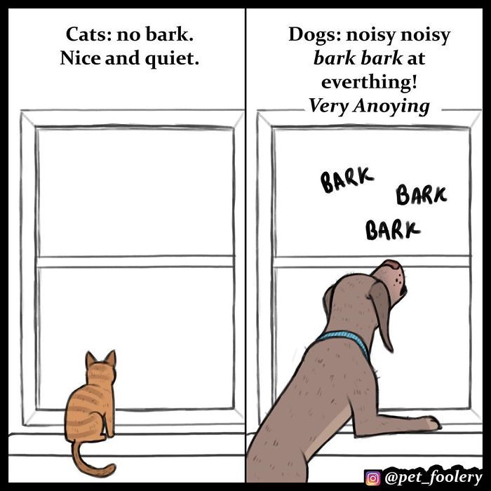 catsbeaversandducks: By Pet Foolery