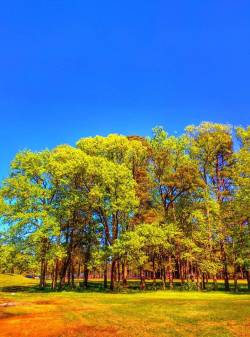 Nature is absolutely a beautiful thing when you take the time to receive It&rsquo;s beauty and live into it.  (Photo creds to friend Mike)