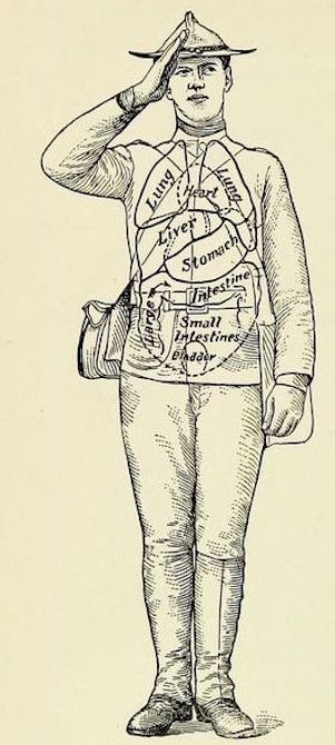 nemfrog: “Relation of the organs of the chest and abdomen to the clothing.” The posture of school ch