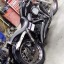 harleydalton