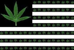 pineconeherb:    LARGE MARIJUANA USA FLAG,