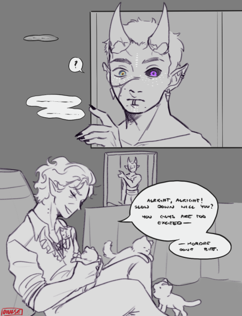 Based Off Of An Exchange Me And A Friend Had Over Discord About The Gang Finding A Box Of Kittens That