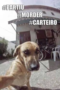 Tipo, mil coisas cara