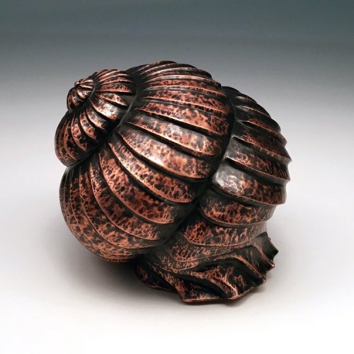 Conch: A Study in Copper by Nile Fahmy