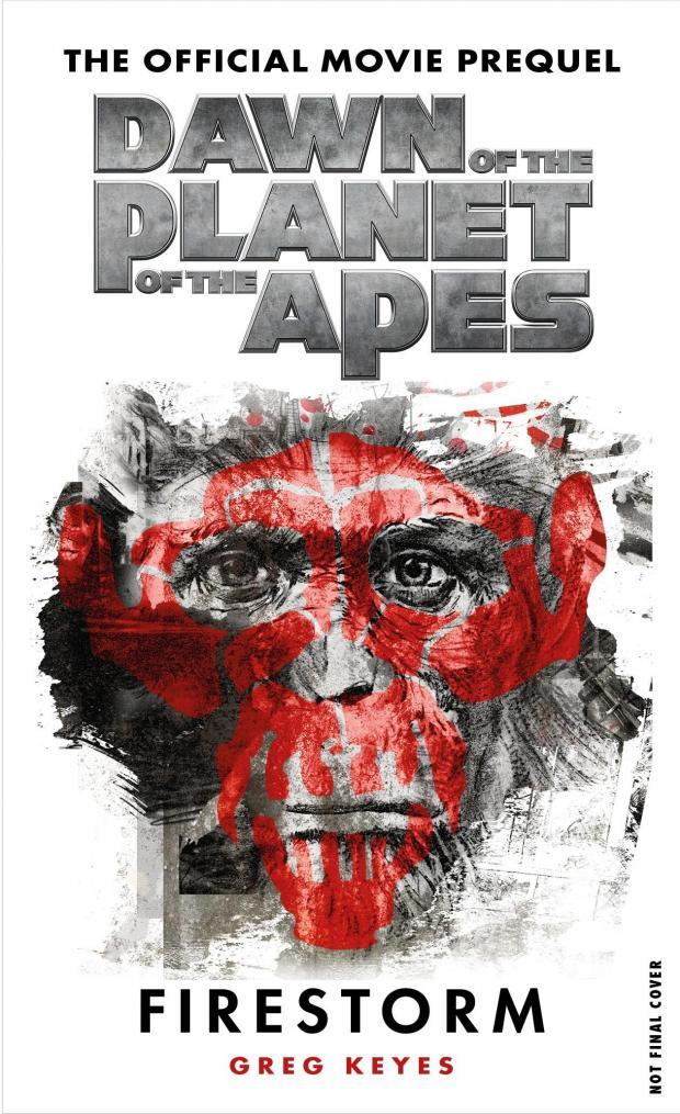 I’m so not a fan of expanded universe novels, so I was just as surprised as anyone that I enjoyed Greg Keyes new Dawn of the Planet of the Apes: Firestorm. You can read my review at Den of Geek US.