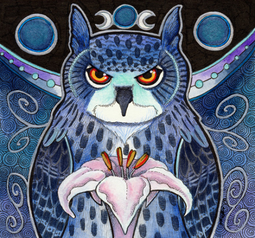 ravenarisart:The Midnight Eagle Owl // The Dawn Bilby // Red Dragon as Czucikiall done on illustrati