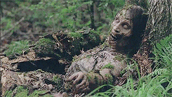 hecaeteh:  Fangirl Challenge - [8/10] tv-series - The Walking Dead 
