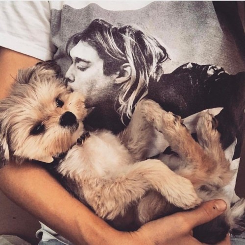 Cobain kisses 