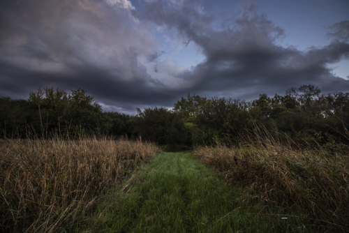 garettphotography:The Beginnings of the Wild Autumn | GarettPhotography