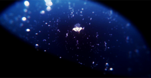 seabreezefriendship: Stronger… I have to get even stronger… Like Haru…