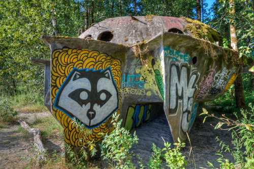 bobcronkphotography:The UFO of Collins Beach - Along the treeline of Collins Beach on Sauvie Island 