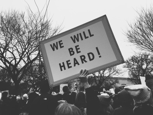 library-mermaid:Women’s March on Washington : Signs