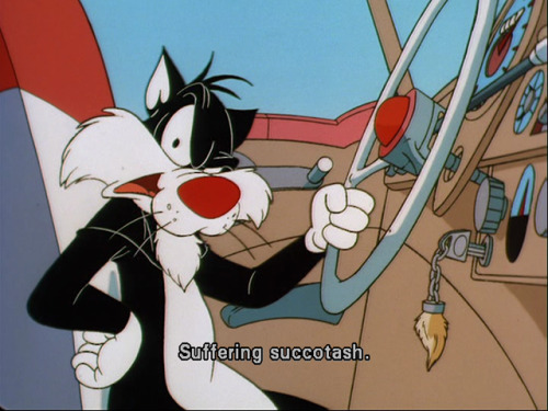 Poor Sylvester, he is one indestructible kitty! XD