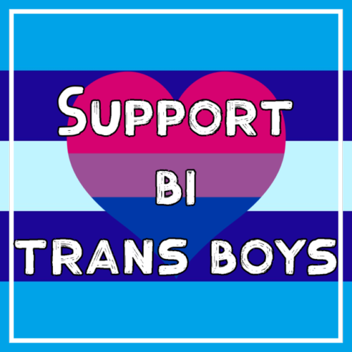 mogaicore:Support trans dudes, they deserve it[ID: Ten graphics with a variation of the trans man pr