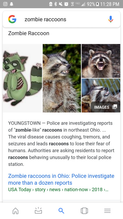 Uhm, what? www.usatoday.com/story/news/nation-now/2018/04/05/zombie-raccoons-ohio/488624002/