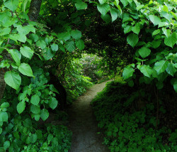 [ GREEN HOUSE ]