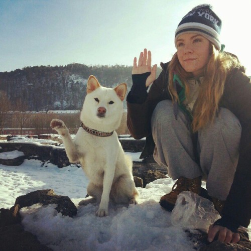 bunnyfood:  (via)