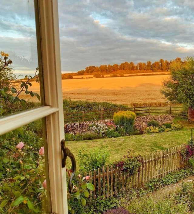 cottageaesthetic: