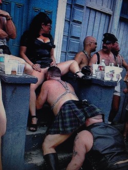 cubbearhunter:  Don’t U love Mardi Gras.  Definitely not something youd see everyday. &hellip;