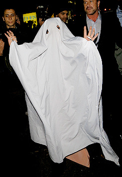 Paws Up