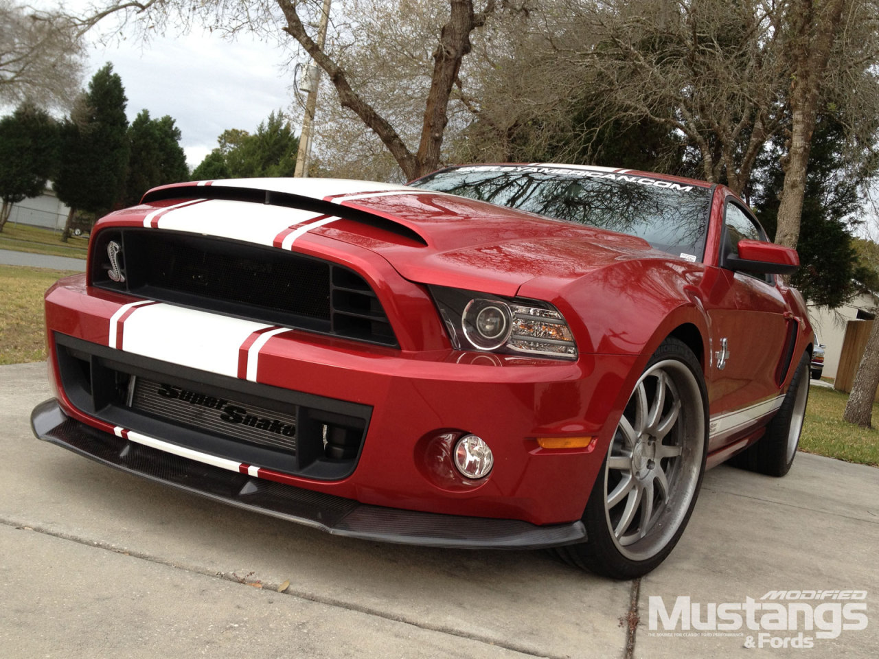 Mustangs galore