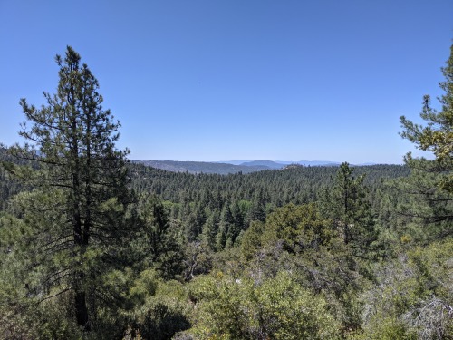 Idyllwild Park, California