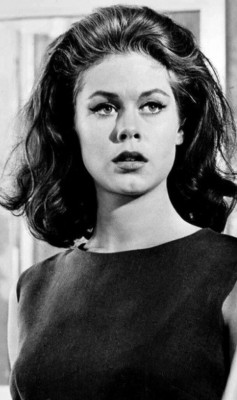 xxhorace:  Elizabeth Montgomery 