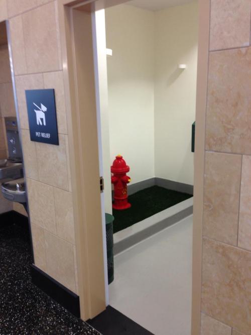 interretialia: Hic aeroportus latrinam canibus habet awesomephilia: This airport has a bathroom for 