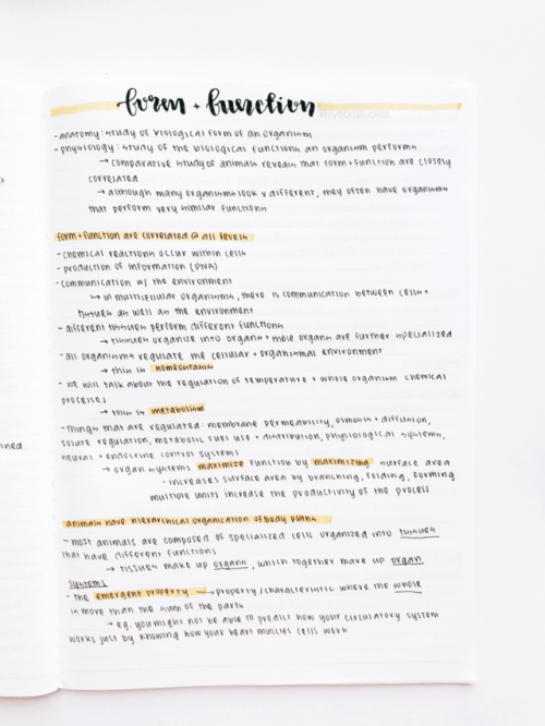 jiyeonstudies:form & function bio notes from a long time ago! i am literally 30 people away from