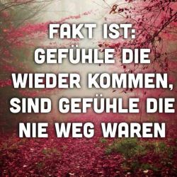 Versager mit Stil