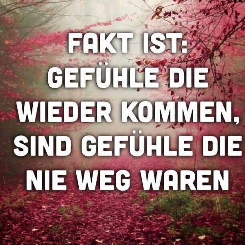 Versager mit Stil