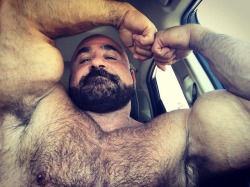 https://64.media.tumblr.com/6f7a37b75206ae59a08d1d0c629b5d2c/tumblr_p3xx3vB6gl1qce4azo1_500.jpg