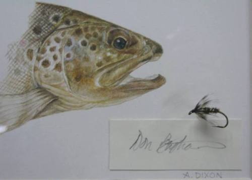 Painting: Anne Dixon, Brown Trout, n.d. Gray Hackle Peacock wet fly tied by Don Bastion