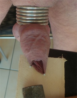 my nailed cock