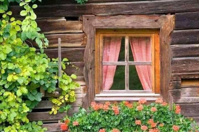 @WeHeartIt #cottage#cottagecore#cottagehome#cottage witch#grandmacore#farmcore#flowers#photography#cozy