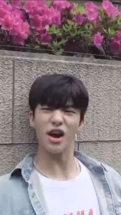 Rare photos of Hyunjin being a derpy dorkReblog for good luck