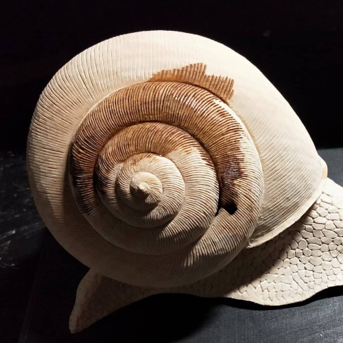 【巨大カタツムリのオブジェ】 色塗りの途中です。 #カタツムリ #木彫 #小島秋彦 #snail #woodcarving #akihikokojima https://www.instagram.c