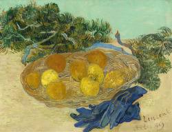 alongtimealone:  Still Life of Oranges and Lemons with Blue Gloves, Vincent van gogh 1889 