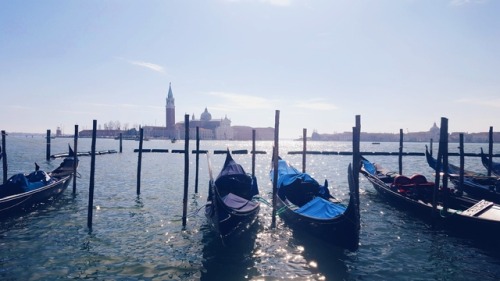 Venice, Italy  Picture by @_rafaellanzieri