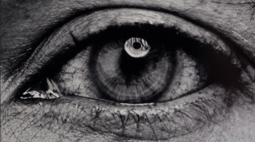 pentauroi:  The eye