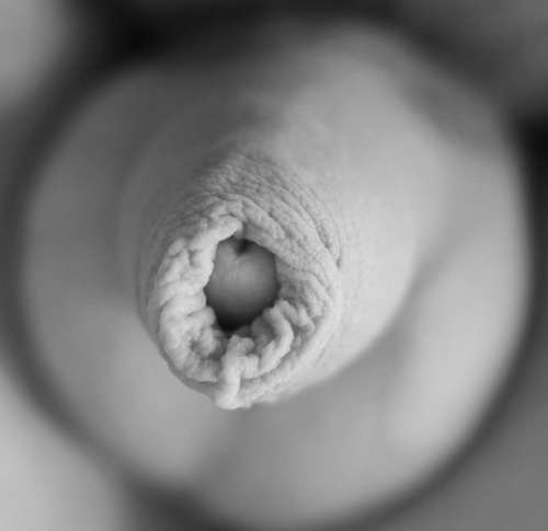 johnsquirt:Foreskin Friday!