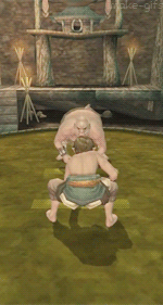 twili-midna:  Sumo Wresling in Ordon 