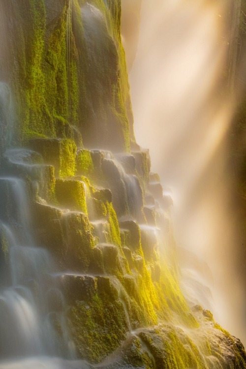 sublim-ature:  Proxy Falls, OregonAndrew Waddington 